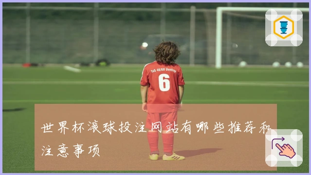 世界杯滚球投注网站有哪些推荐和注意事项