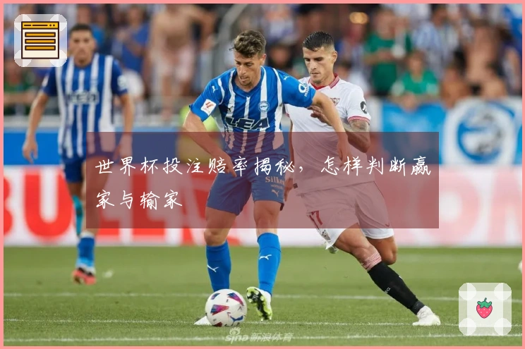 世界杯投注赔率揭秘，怎样判断赢家与输家