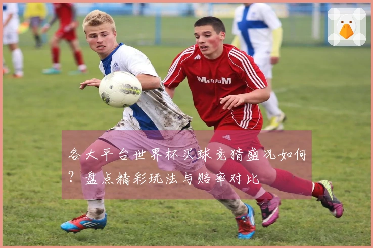 各大平台世界杯买球竞猜盛况如何？盘点精彩玩法与赔率对比