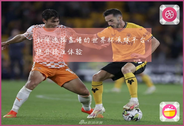 如何选择靠谱的世界杯滚球平台，提升投注体验