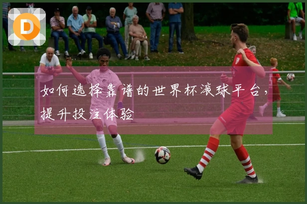 如何选择靠谱的世界杯滚球平台，提升投注体验