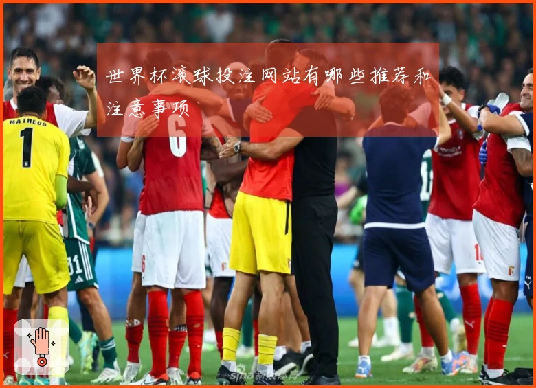世界杯滚球投注网站有哪些推荐和注意事项