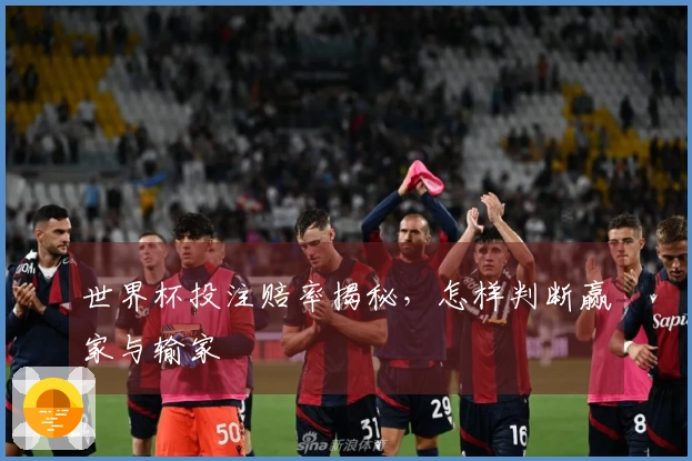 世界杯投注赔率揭秘，怎样判断赢家与输家