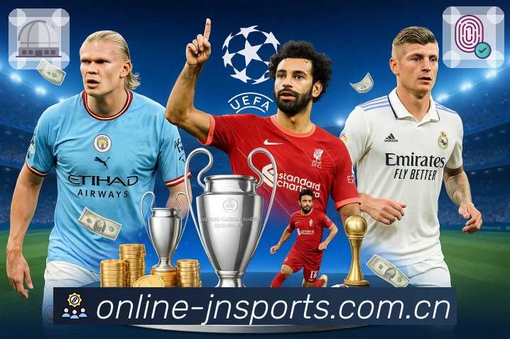 入口聚合认证展示